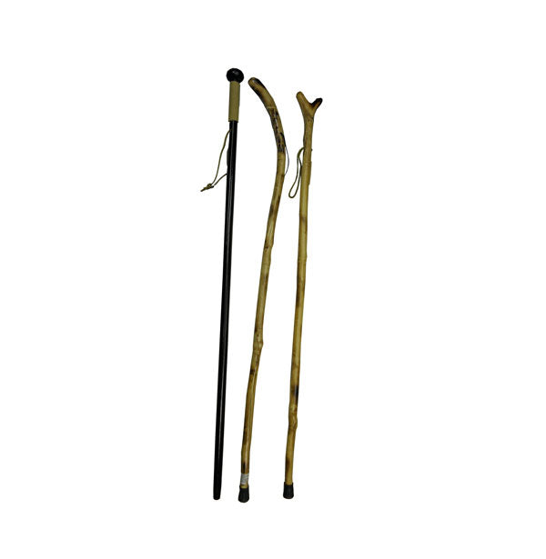 WALKING STICK ASSORTED