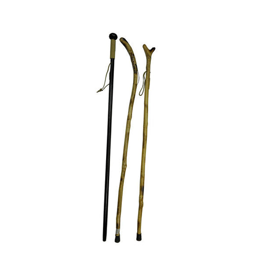 WALKING STICK ASSORTED